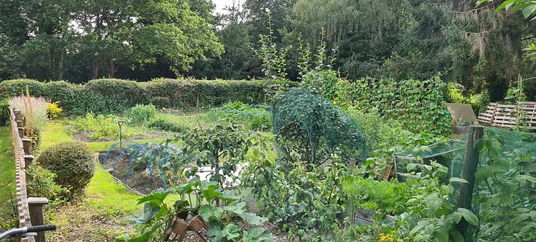 Allotments